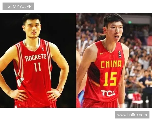 王治郅nba生涯精彩瞬间